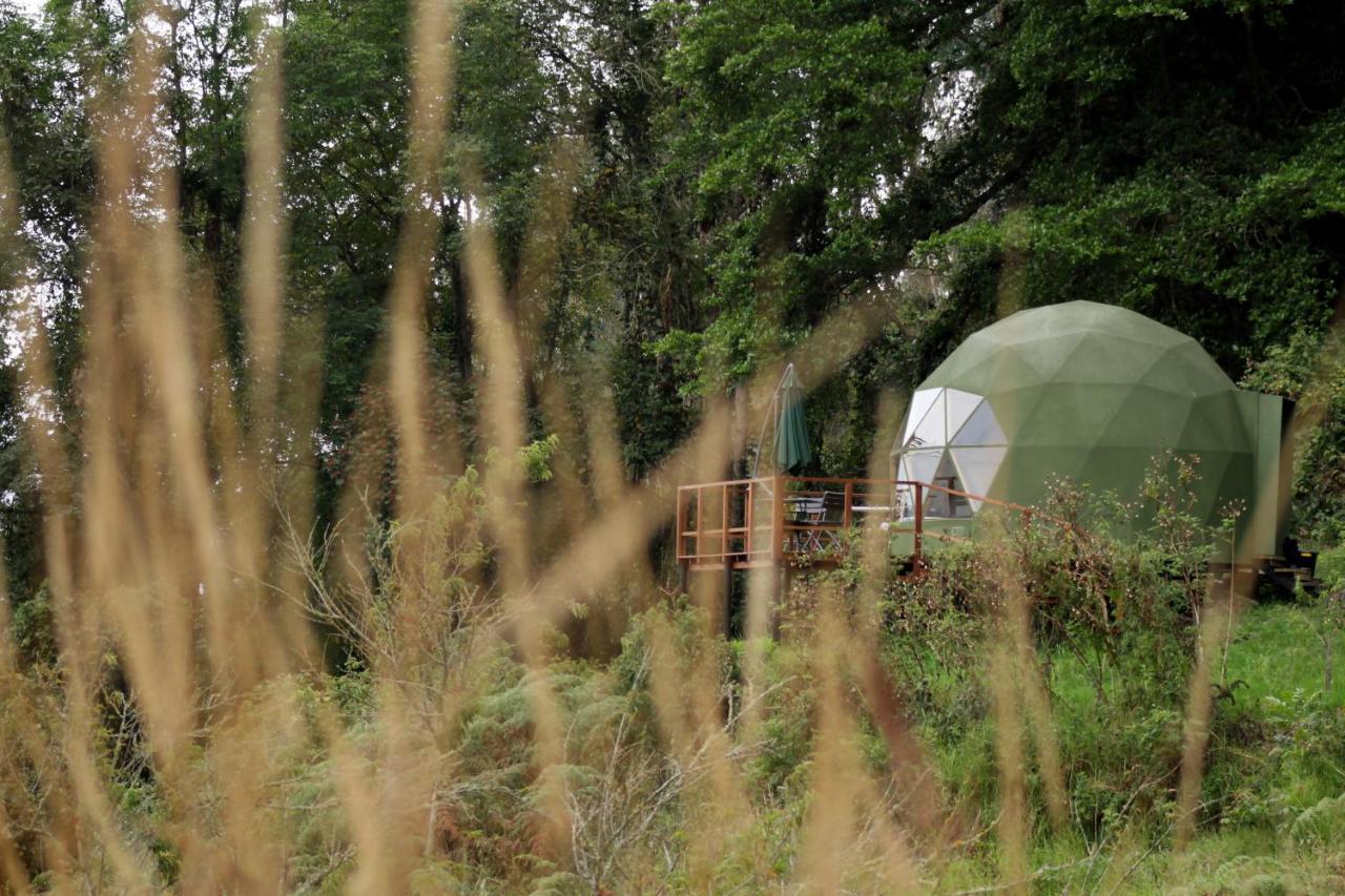 Bed and Breakfast Glamping Cúspide Choachí Exterior foto